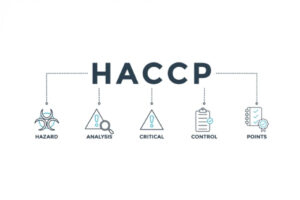 Schema dell'acronimo HACCP. Icone utilizzate per indicare ogni parola dell'acronimo HACCP: hazard, analysis, critical, control, points.